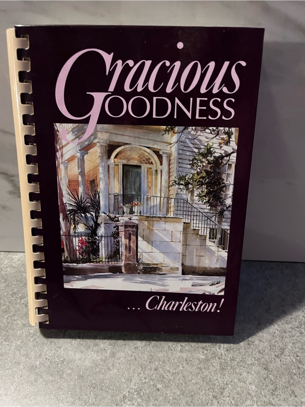 Vintage 1991 Gracious Goodness Charleston SC Community Cookbook